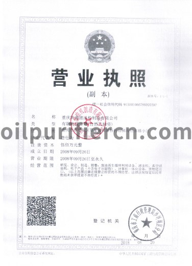 BUSINESS LICENSE